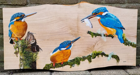 Schilderij ijsvogels op hout 57 x 30 cm.