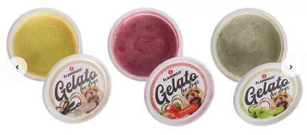 Flamingo Gelato hondenijs Appel 40 gram