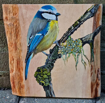 Schilderwerk pimpelmees op hout 21 x 20 cm.