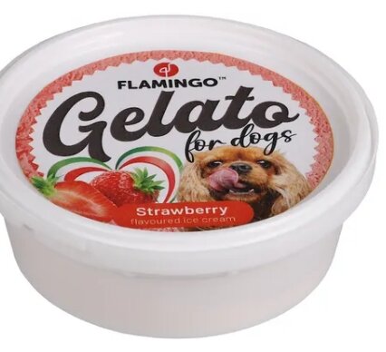 Flamingo Gelato hondenijs Aardbei 40 gram