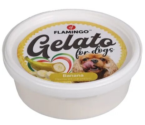 Flamingo Gelato hondenijs Banana 40 gram