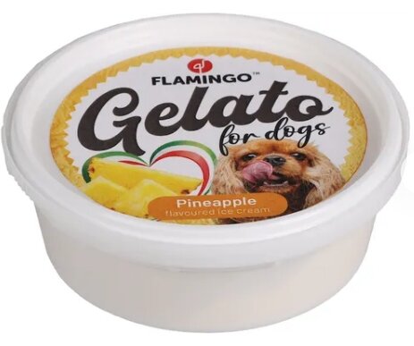 Flamingo Gelato hondenijs Ananas 40 gram