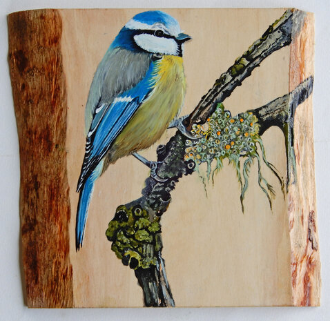 Schilderwerk pimpelmees op hout 21 x 20 cm.